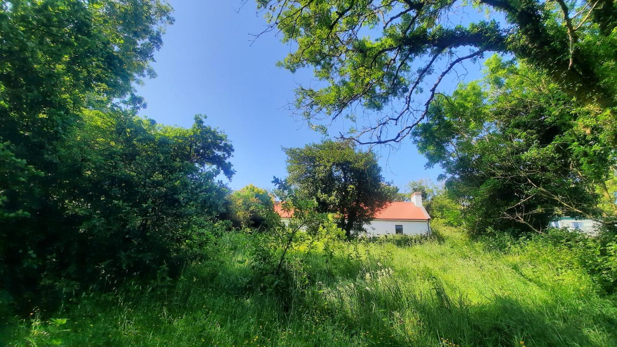 -Going Back In Time- 200 Year Old Farmhouse Creegh Exteriör bild